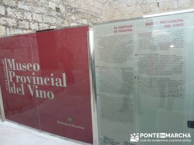 Visita enológica a Peñafiel – Ribera del Duero; sitios a visitar en madrid